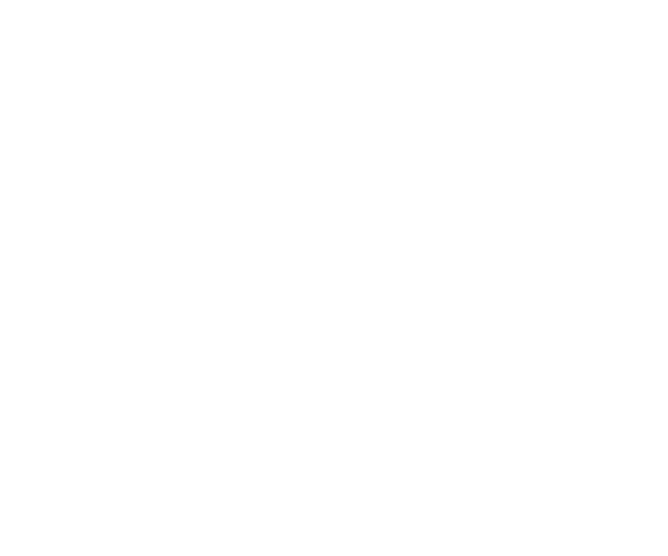 AAA Drones logo (white)